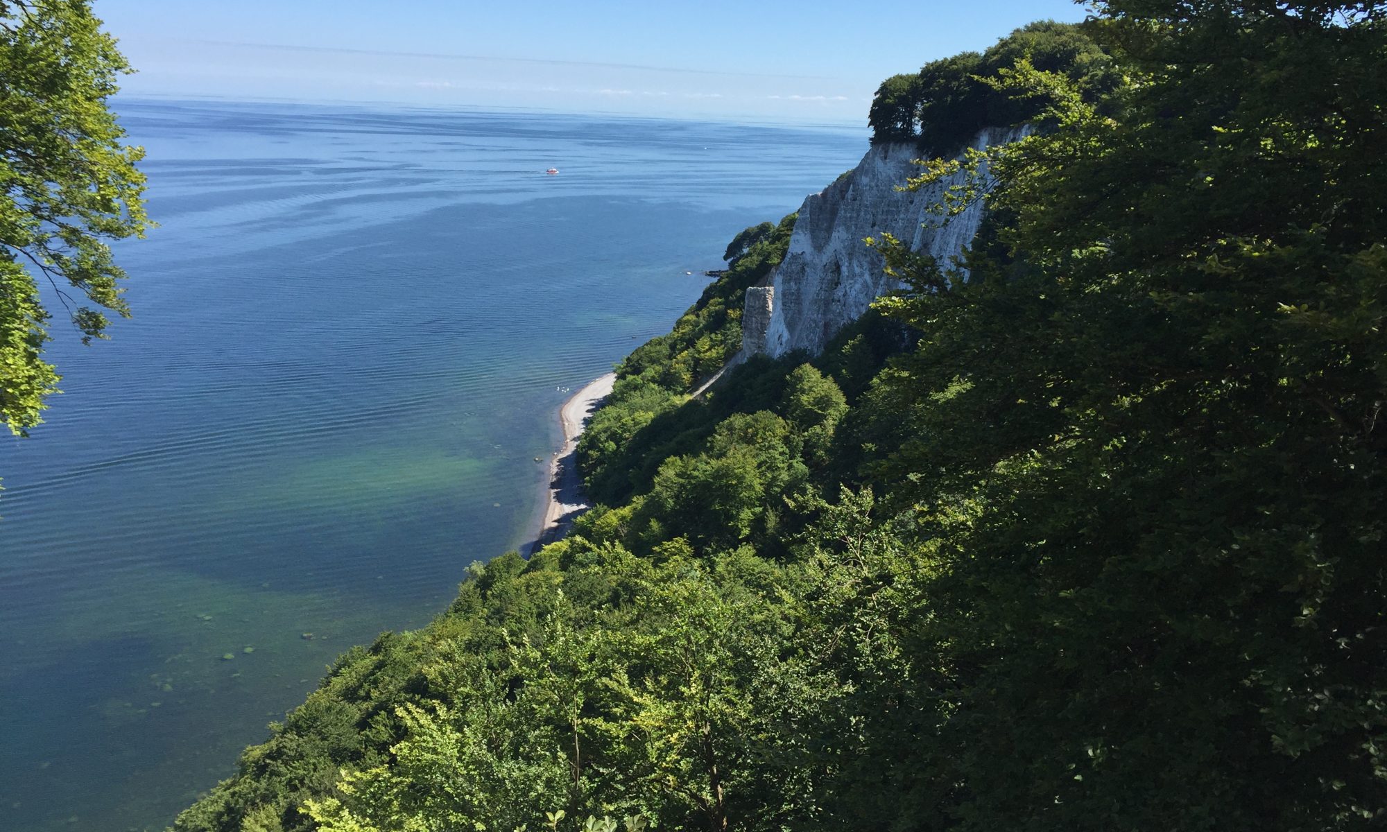 Vita kalkklippor och grönskande skog vid havet